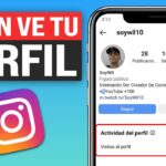 como saber si visitan tu instagram