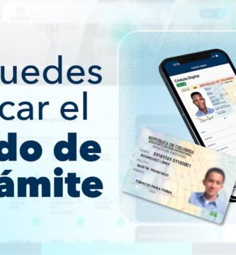 como saber si ya esta lista mi tarjeta de identidad