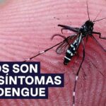 dengue como saber si tengo